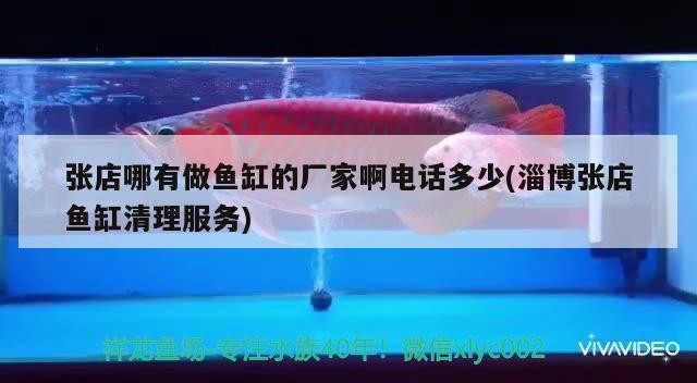 張店哪有做魚缸的廠家啊電話多少(淄博張店魚缸清理服務(wù))