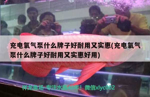 充電氧氣泵什么牌子好耐用又實惠(充電氧氣泵什么牌子好耐用又實惠好用)