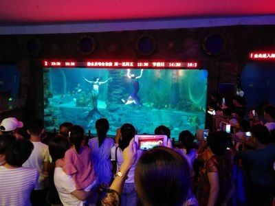 無錫水族館vs祥龍魚場（無錫水族館與祥龍魚場之間的差異之前，我們需要明確兩者的基本信息和特點）