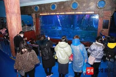 無錫水族館vs祥龍魚場（無錫水族館與祥龍魚場之間的差異之前，我們需要明確兩者的基本信息和特點）