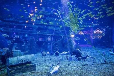 無錫水族館vs祥龍魚場（無錫水族館與祥龍魚場之間的差異之前，我們需要明確兩者的基本信息和特點）
