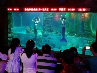 無錫水族館vs祥龍魚場（無錫水族館與祥龍魚場之間的差異之前，我們需要明確兩者的基本信息和特點）