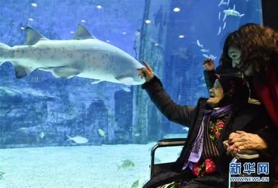 和田水族館vs祥龍魚場（和田水族館與祥龍魚場之間的差異之前，我們需要明確兩者的業(yè)務和特點）