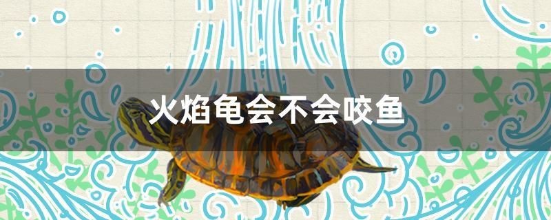 番禺生產金魚缸的廠家地址及電話號碼（魚缸水族箱1米需要多少錢）