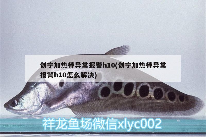 創(chuàng)寧加熱棒異常報警h10(創(chuàng)寧加熱棒異常報警h10怎么解決)