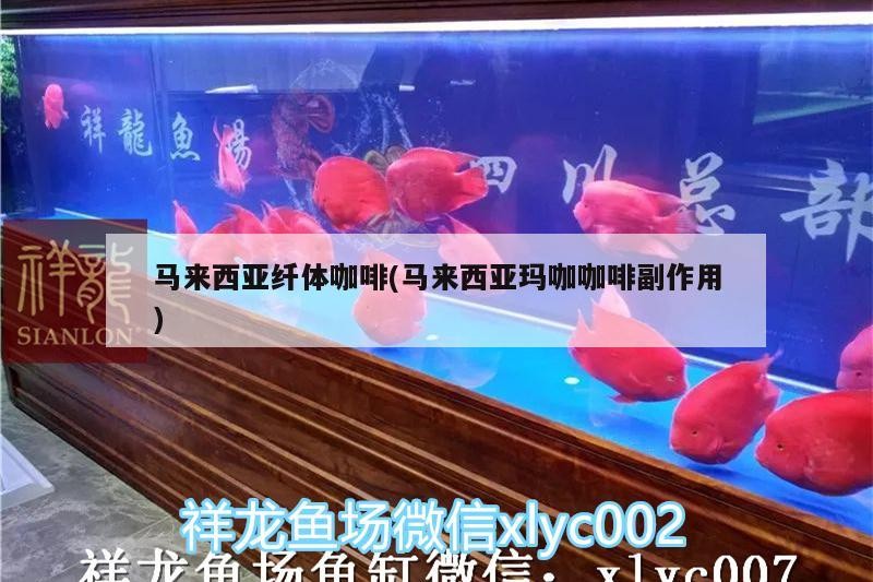馬來西亞纖體咖啡(馬來西亞瑪咖咖啡副作用)