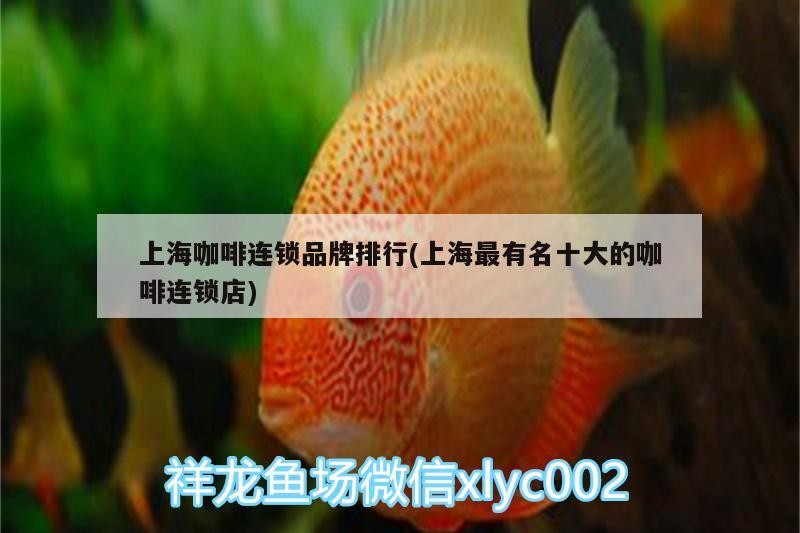 上海咖啡連鎖品牌排行(上海最有名十大的咖啡連鎖店)