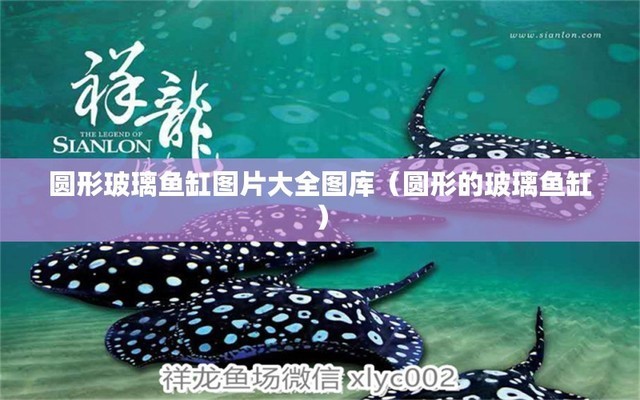博特拉大學博士好畢業(yè)嗎女生（博特拉大學博士好畢業(yè)嗎女生）
