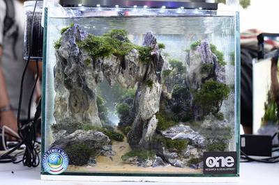 定做魚缸蓋子怎么拆卸（定做魚缸蓋子怎么拆卸視頻）