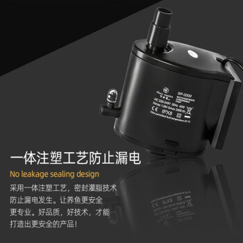 武漢龍魚哪里賣的價格高點好呢（武漢龍魚哪里賣的價格高點好呢視頻）