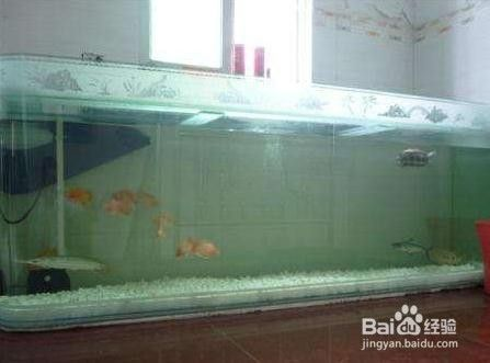 營口市站前區超越水族店（營口市站前區超越水族店電話）