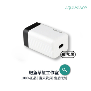 泰國龍魚多少錢一條圖片（泰國龍魚多少錢一條圖片及價格）