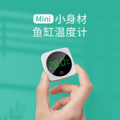 養藍底金龍用什么顏色缸底(藍底過背金龍魚圖片)