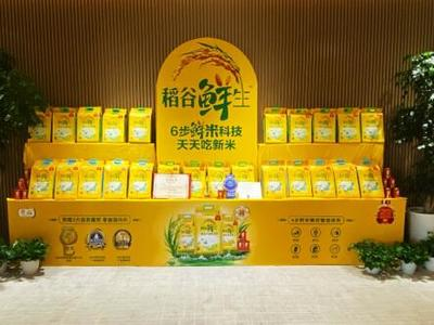 防止龍魚掉眼燈放在什么位置