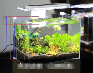 魚缸過濾器選購指南:自制魚缸過濾器魚缸上置過濾器對于養魚愛好者的必備知識 博特加熱棒顯示E1(博特加熱棒顯示E1) 博特水族 博特加熱棒顯示E1(博特加熱棒顯示E1) 博特加熱棒顯示E1(博特加熱棒顯示E1) 博特水族