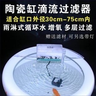 深圳賣觀賞魚（深圳賣觀賞魚最大最全的地方在哪）