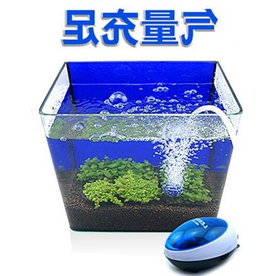 鞏留縣蘭花漁具行