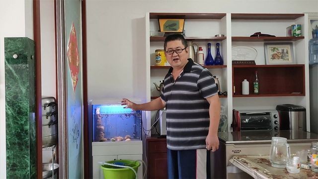魚缸裂開了怎么樣才能修復視頻講解