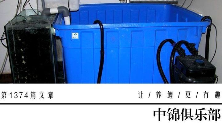 臺燈可以做魚缸燈嗎（臺燈可以做魚缸燈嗎視頻）
