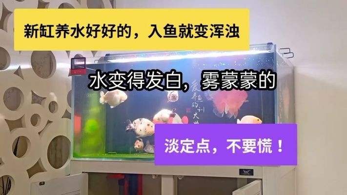 通化市東昌區維珍水族商店（通化水產批發）