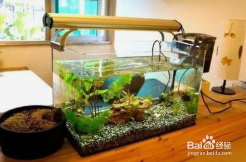 博特水泵5000流量每檔流量圖（博特水泵5000流量范圍）