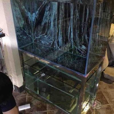 滁州哪里有水族館?