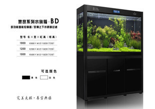 魚缸黃顙魚怎么養活視頻