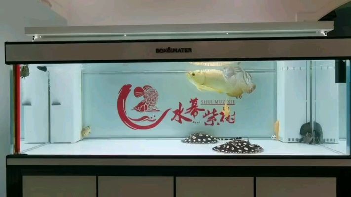 魚缸底座安裝視頻講解大全