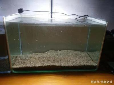 克東縣老船長漁具行（克山縣老船長）