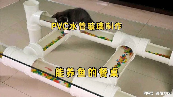 涼城縣陳素珍居家水族館（涼城縣陳素珍居家水族館地址）