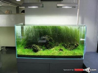 丹東市振興區精彩水族館（丹東市振興區精彩水族館電話）