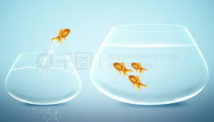大魚缸怎么賣賺錢：大魚缸養(yǎng)護技巧