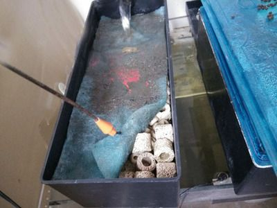 帶蓋上濾魚缸怎么加強過濾：帶蓋上濾魚缸過濾可以通過以下幾個步驟來加強過濾效果