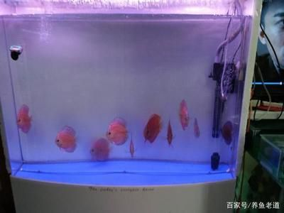 1米2魚缸上濾：1米2的魚缸使用上濾系統可以嗎？