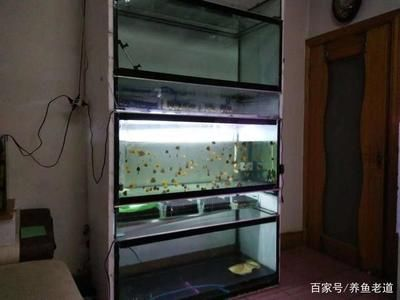 1米2魚缸上濾：1米2的魚缸使用上濾系統可以嗎？