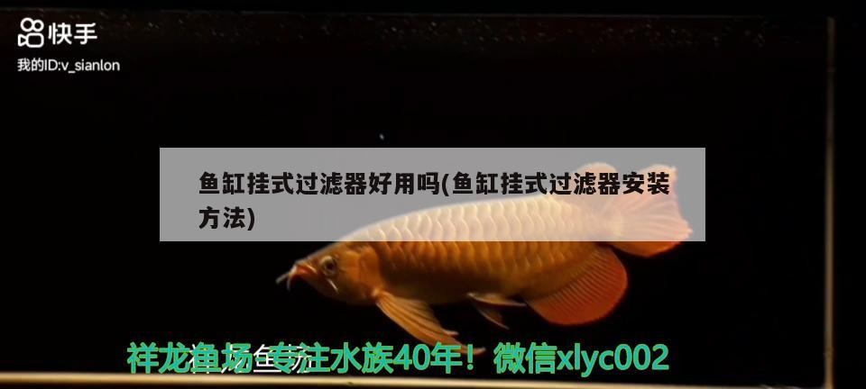 魚缸掛式過濾器好用嗎(魚缸掛式過濾器安裝方法)