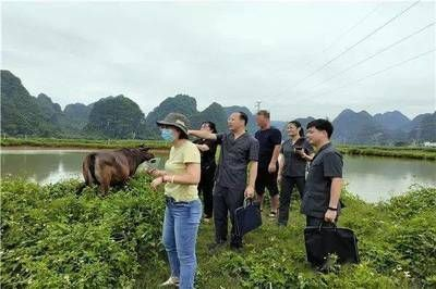龍魚鑒定中心vs祥龍魚場：龍魚鑒定中心與祥龍魚場區(qū)別