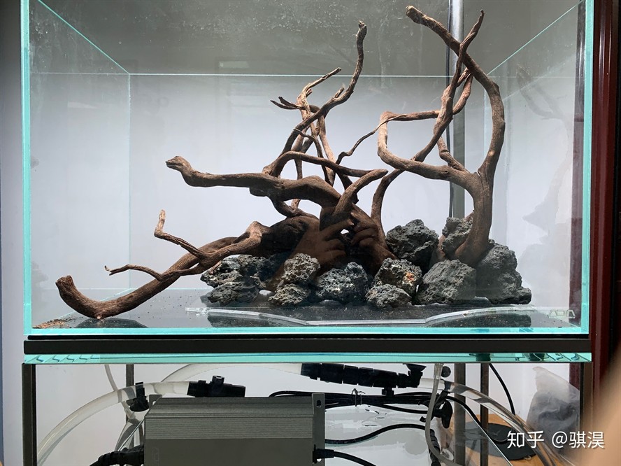 成品魚缸改原生缸造景好嗎：成品魚缸改原生缸造景的優點和注意事項