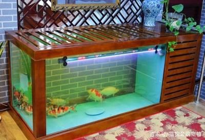 大型錦鯉魚缸過濾系統(tǒng)圖：錦鯉魚缸過濾系統(tǒng)的基本原理錦鯉魚缸過濾系統(tǒng)的注意事項