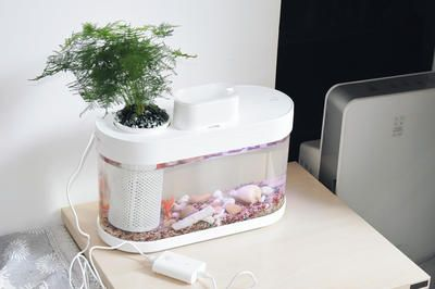 大型魚缸需要用什么玻璃
