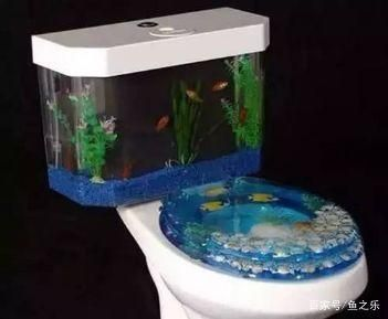 愛上魚魚馬桶魚缸怎么樣：\"愛上魚魚馬桶魚缸\"使用心得