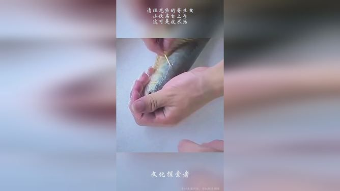 紅龍魚內寄生蟲怎么辦：紅龍魚內寄生蟲的治療方法和注意事項和注意事項