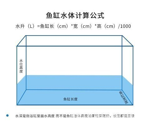 龍魚魚缸寬度最低要求vs祥龍魚場：如何選擇適合龍魚的魚缸