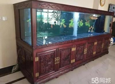 大型魚缸搬運視頻教學：魚缸搬運技巧