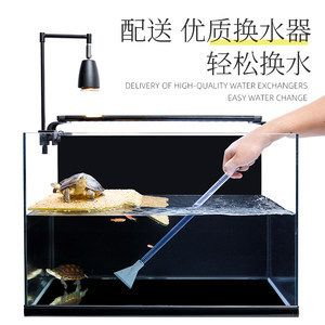 背濾魚缸造景：背濾魚缸造景的優點和缺點和缺點了解背濾魚缸的優點