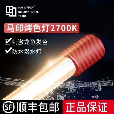 魟魚品種鑒別技巧：如何鑒別魟魚品種