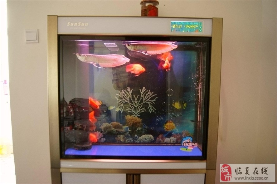 博特拉大學讀博士認可嗎（博特拉大學博士回國能進高校嗎）
