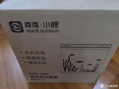 銀龍魚爛鱗病能治愈嗎，銀龍魚爛鱗病家庭護理指南