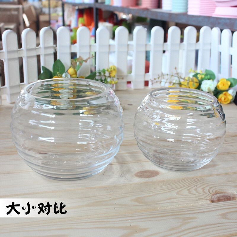 玻璃魚缸改造土培植物：如何在玻璃魚缸中種植水生植物？