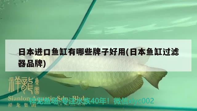 日本進口魚缸有哪些牌子好用(日本魚缸過濾器品牌)